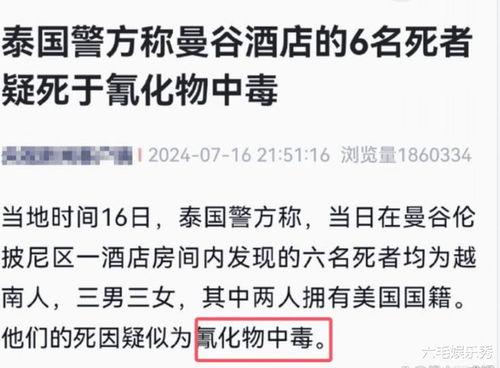 王小羽最新爆料新闻事件